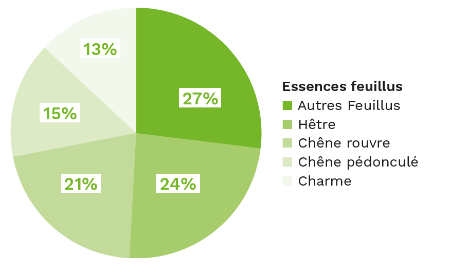 Les forêts du Grand Est et la filière forêt-bois - GrandEst