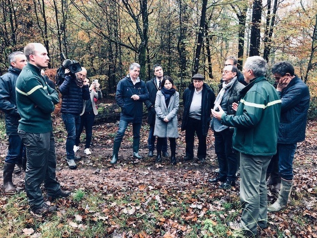 Les forêts du Grand Est et la filière forêt-bois - GrandEst